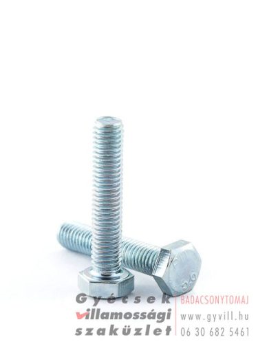 M10x40 Hatlapfejű csavar