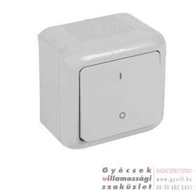   Legrand Forix Falon kívüli IP44 Kétpólusú kapcsoló (102) Szürke