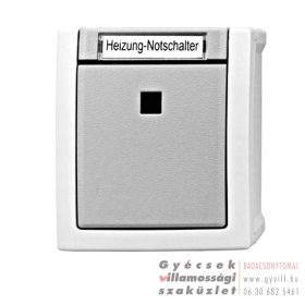   Schrack Visio IP54 Falon kívüli Kétpólusú kapcsoló (102) szürke