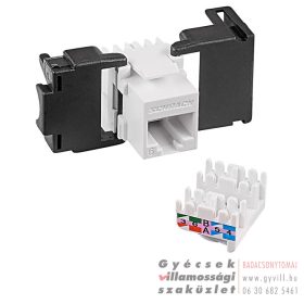 Schrack 1xRJ45 Cat6 aljzatmodul